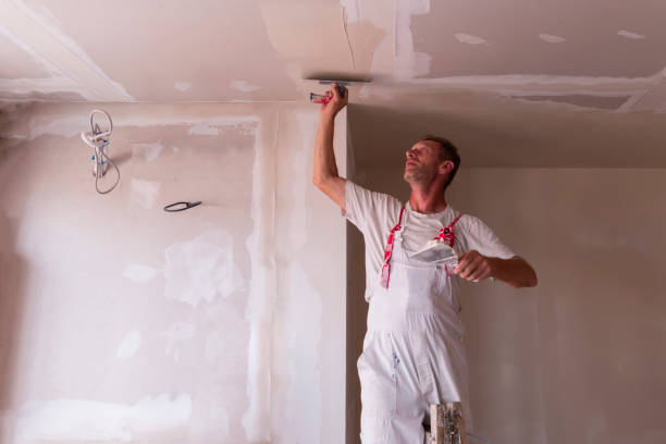 Professional Dry wall and painting in Paris, TX